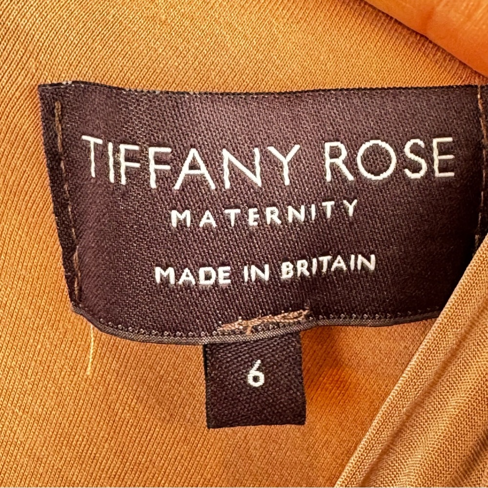 Tiffany Rose Maternity Francesca French Jersey Fabric V-Neck Maxi Dress Sz 6 - Picture 7 of 8